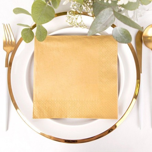 ΧΑΡΤΟΠΕΤΣΕΤΕΣ ΠΟΛΥΤΕΛΕΙΑΣ 40Χ40CM