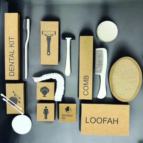 ΑΞΕΣΟΥΑΡ ΕΠΙΣΚΕΠΤΗ